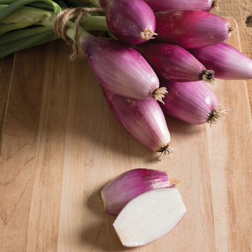 Red Long of Tropea Onion Seeds – Vegetable Plant