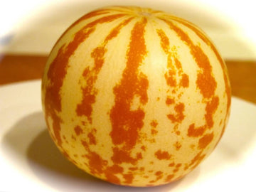 Tiger Melon Seeds - Fruit Plant