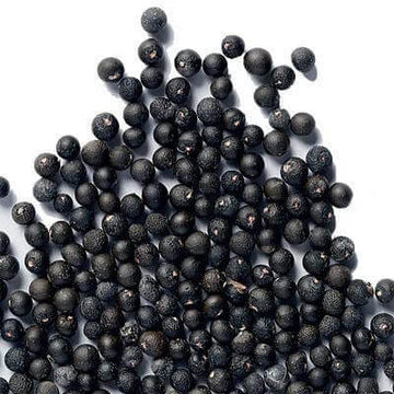 Shatavari Seeds - Herbal Plant For Home Gardens