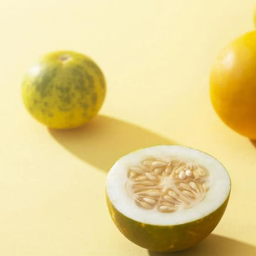 Dosakai Melon Seeds – Vegetable Plant
