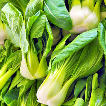 Pak Choi Seeds – Green