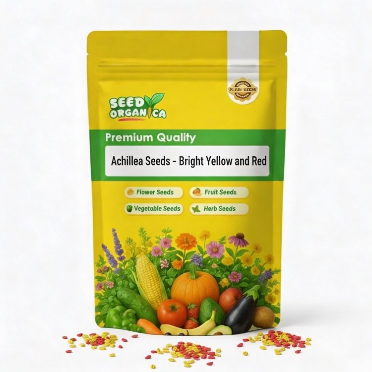 Achillea Seeds –  Bright Yellow and Red