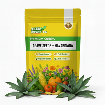 Agave Seeds – Havardiana