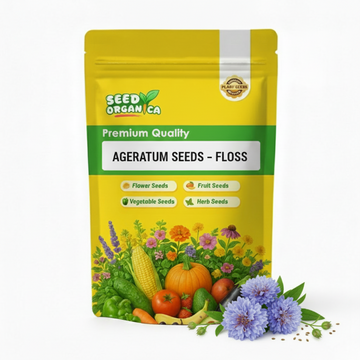 Ageratum Seeds – Floss