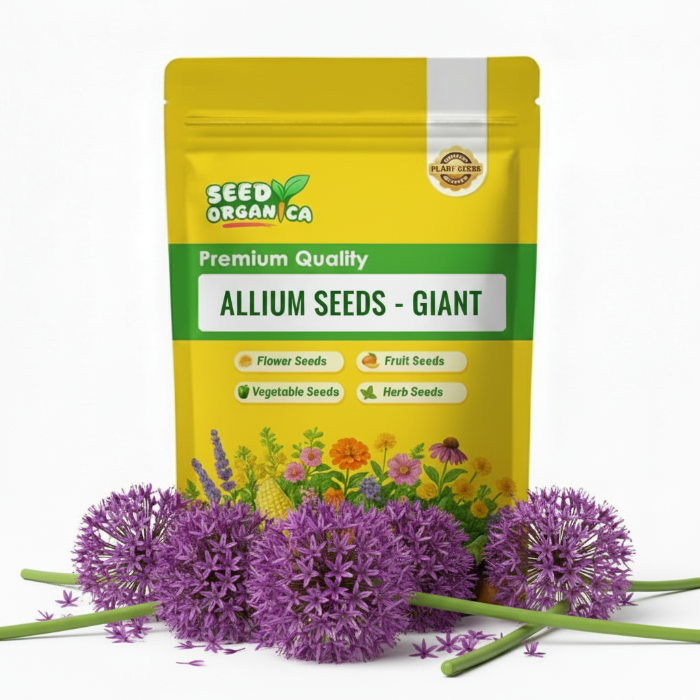 Allium Seeds – Giant