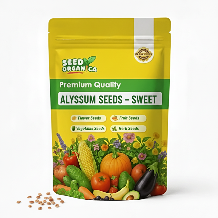 Alyssum Seeds – Sweet