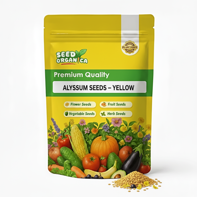 Alyssum Seeds – Yellow