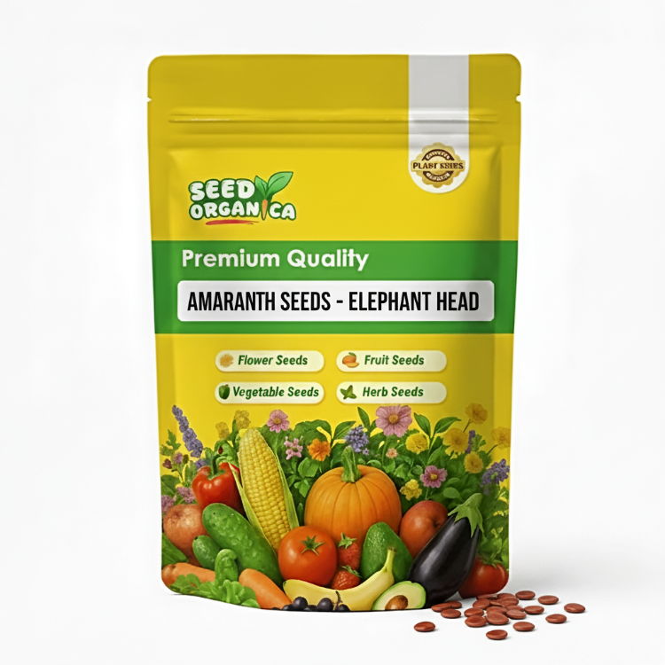 Amaranth Seeds - Elephant Head