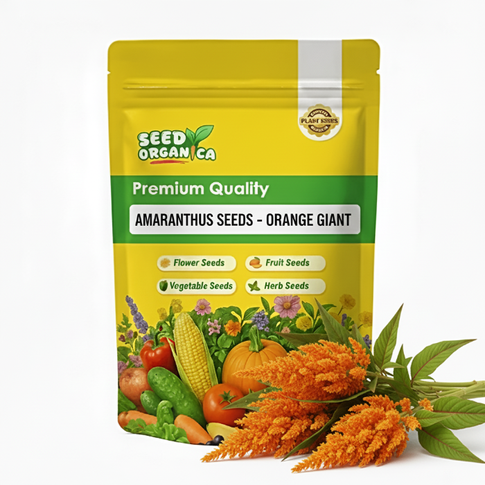Amaranthus Seeds - Orange Giant
