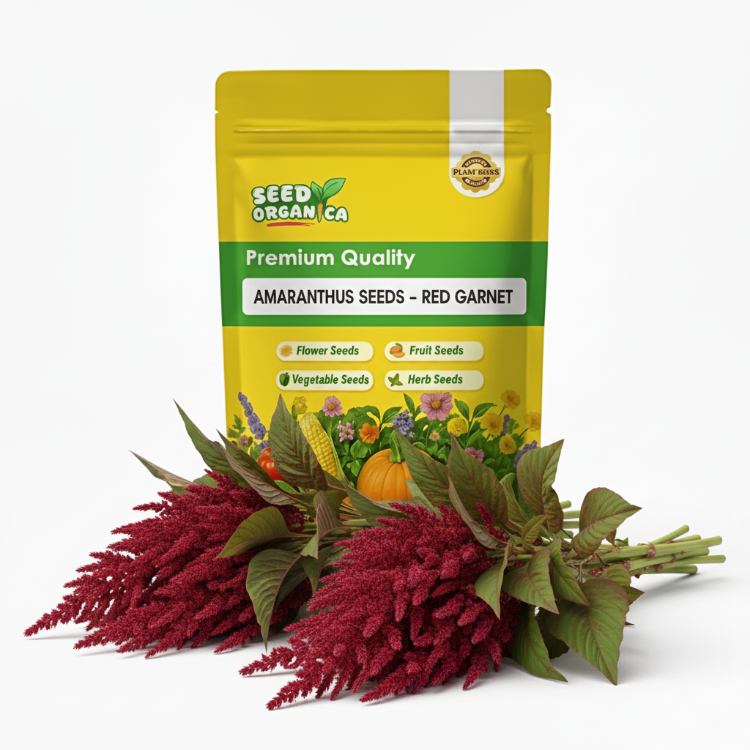 Amaranthus Seeds - Red Garnet