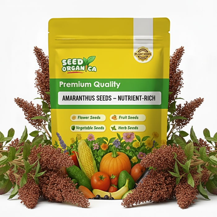 Amaranthus Seeds –  Nutrient-Rich