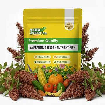 Amaranthus Seeds –  Nutrient-Rich