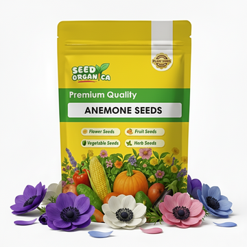 Anemone Seeds