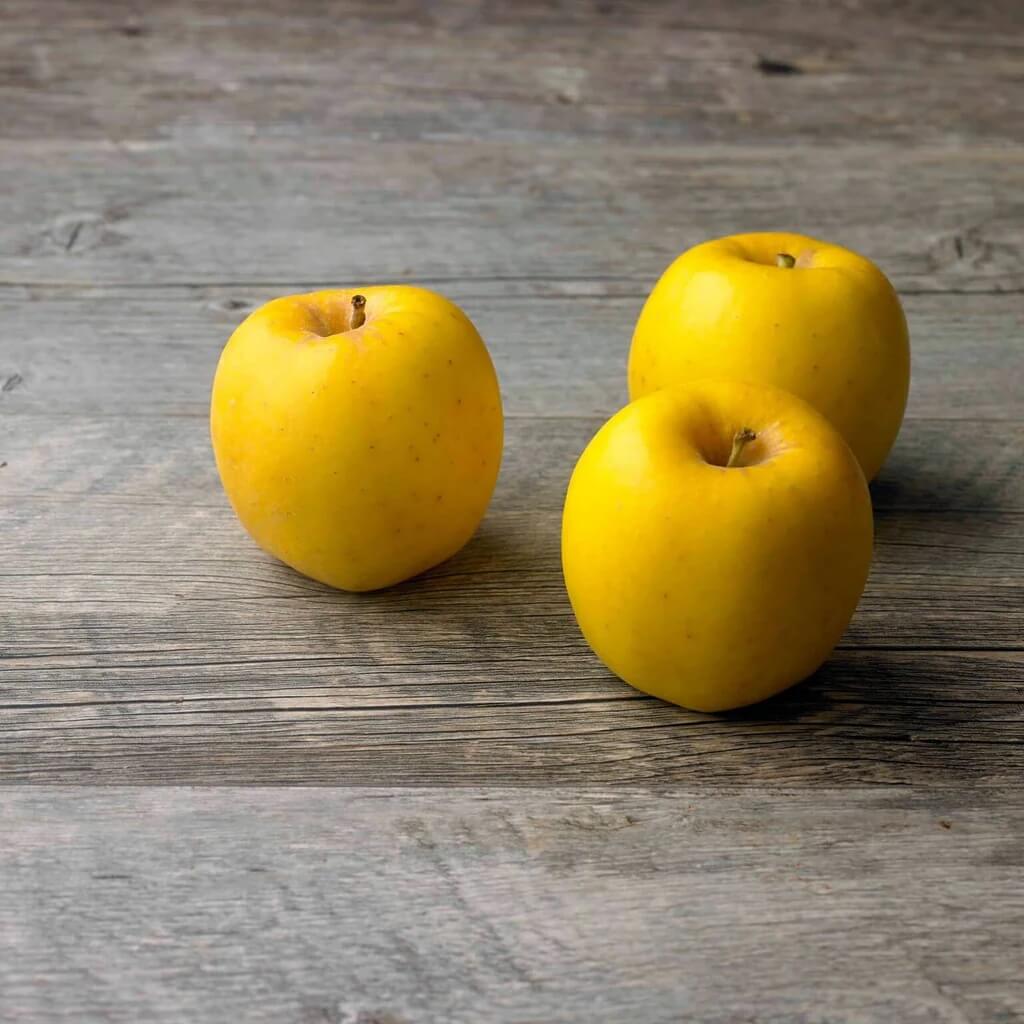 Apple Seeds – Opal Yellow