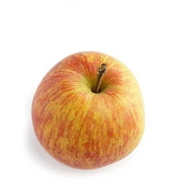 Apple Seeds – Orange