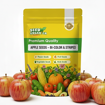 Apple Seeds – Bi-Color & Striped