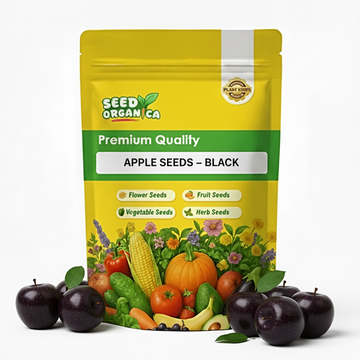 Apple Seeds – Black