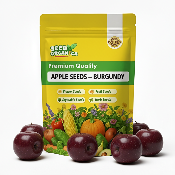 Apple Seeds – Burgundy