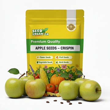 Apple Seeds – Crispin