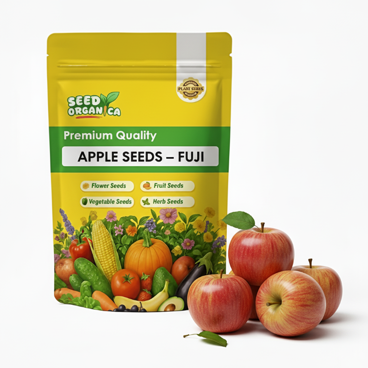 Apple Seeds – Fuji