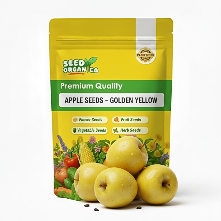 Apple Seeds – Golden Yellow