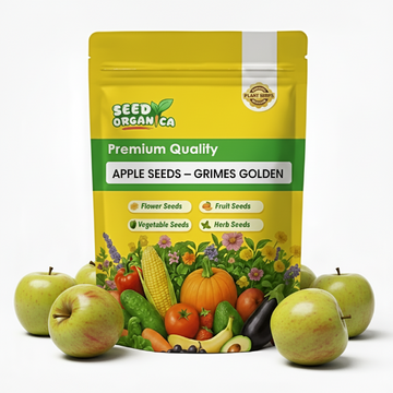 Apple Seeds – Grimes Golden