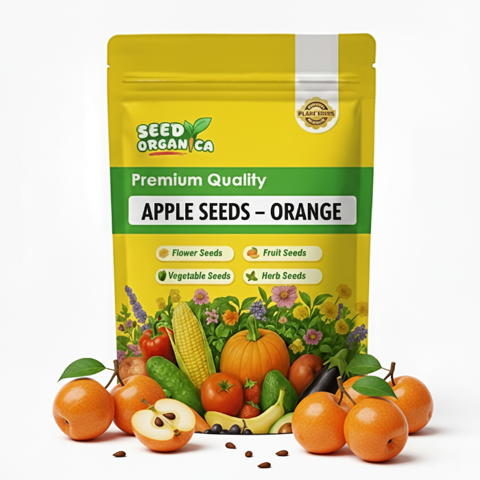 Apple Seeds – Orange