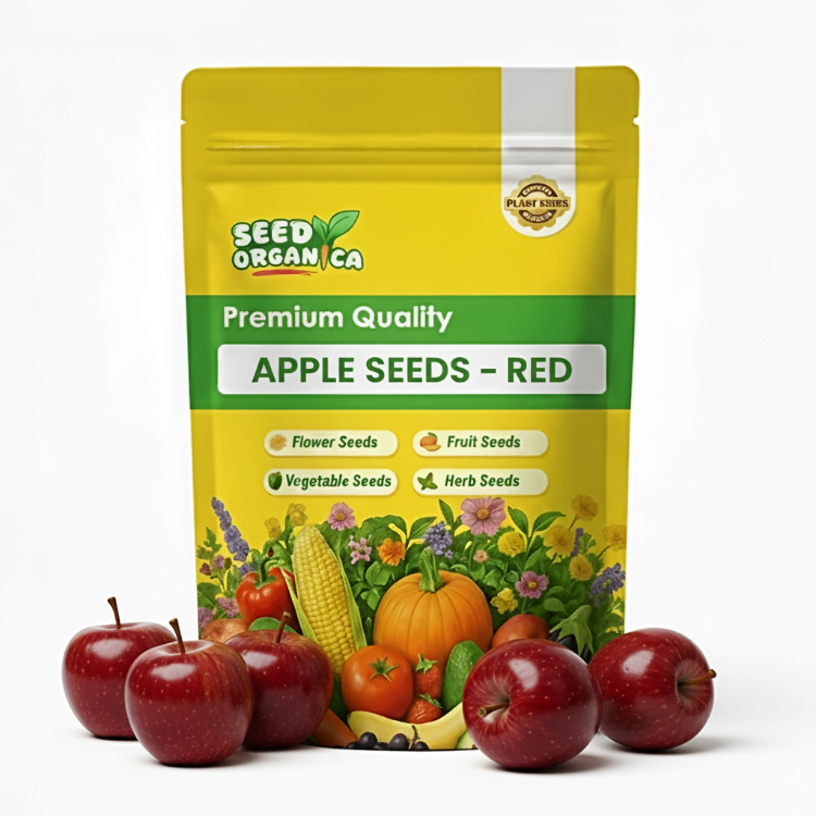 Apple Seeds – Red