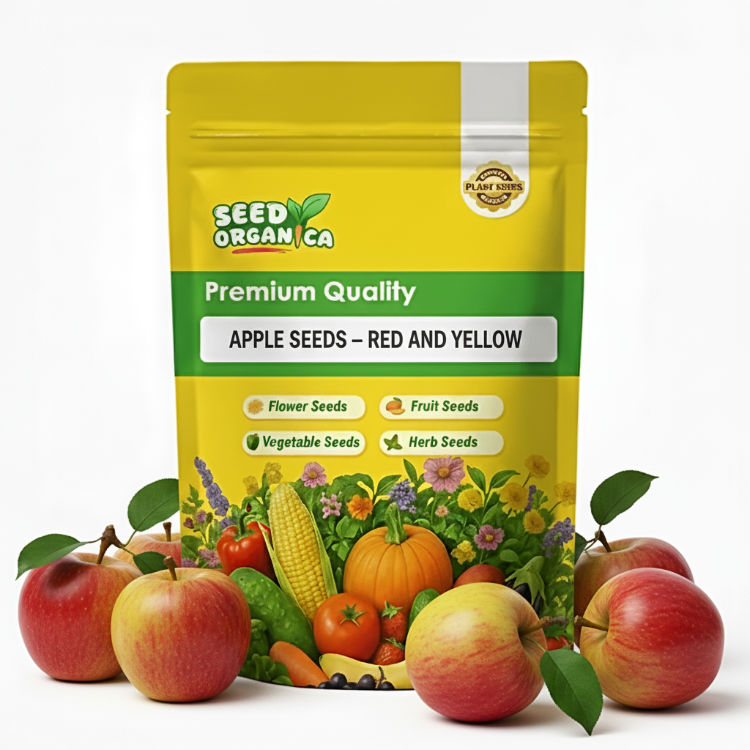 Apple Seeds – Red and Yellow