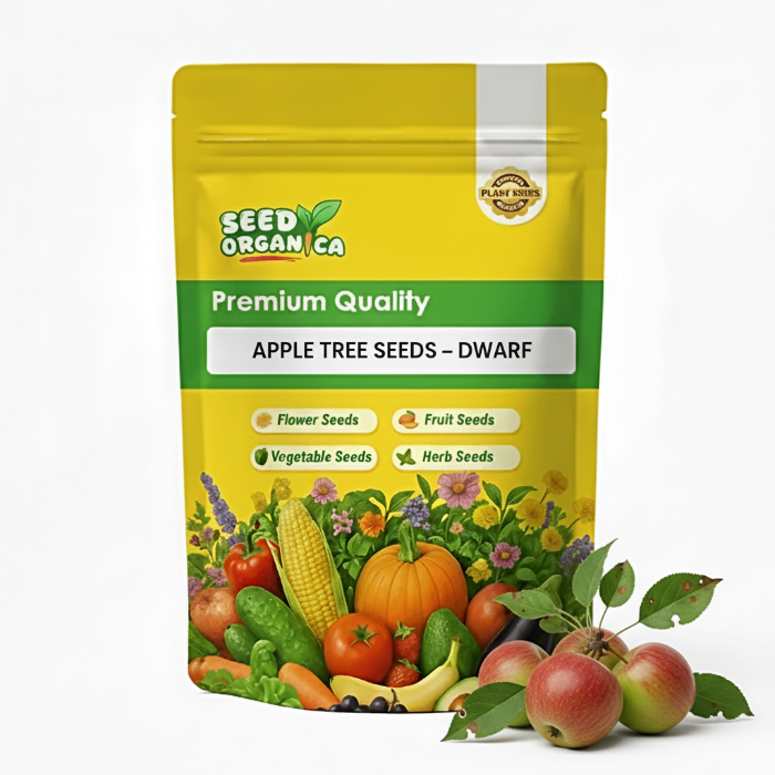 Apple Tree Seeds – Dwarf