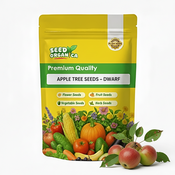 Apple Tree Seeds – Dwarf