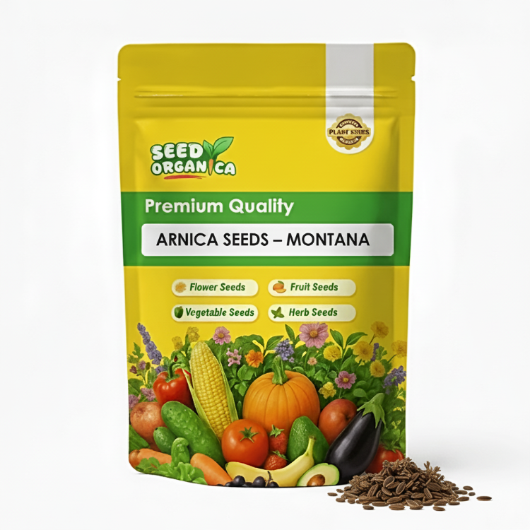 Arnica Seeds – Montana