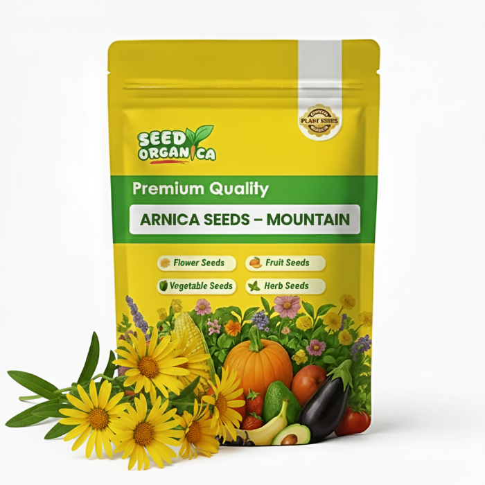 Arnica Seeds – Mountain