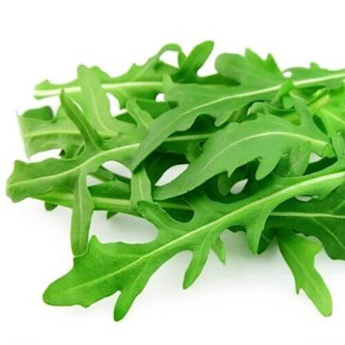 Arugula Seeds – Roquette