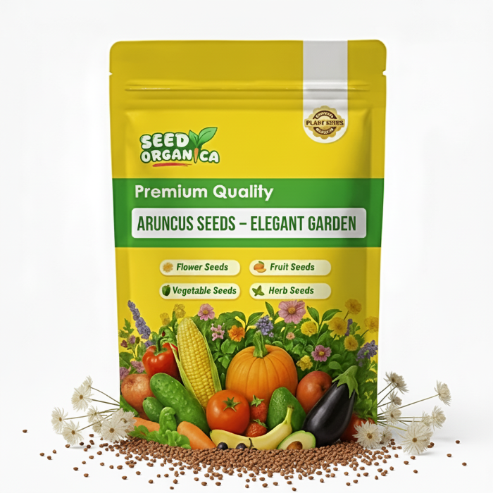 Aruncus Seeds – Elegant Garden