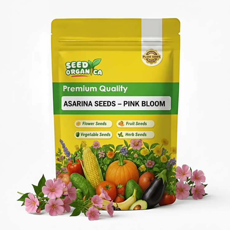 Asarina Seeds – Pink Bloom