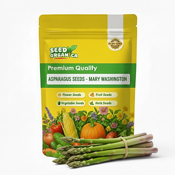 Asparagus Seeds - Mary Washington