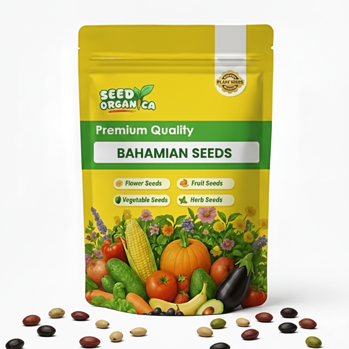 Bahamian Seeds