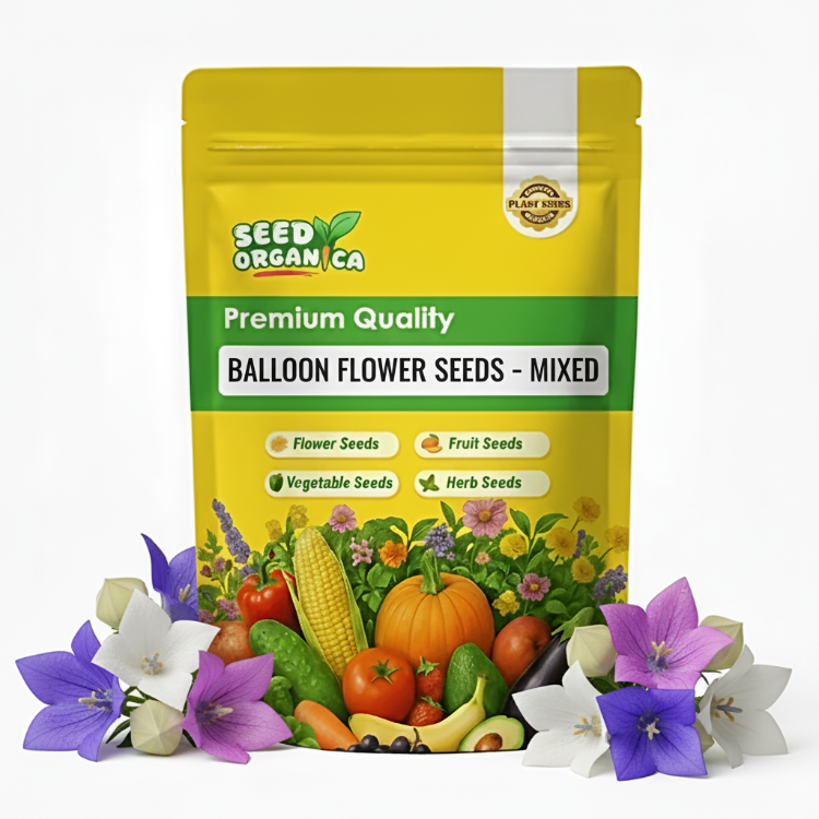 Balloon Flower Seeds – Mixed