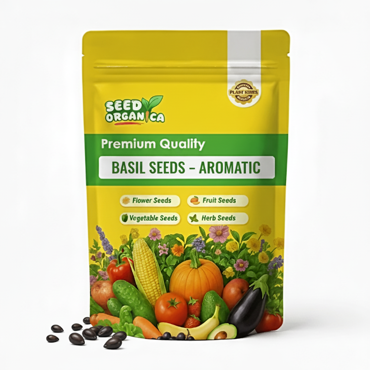 Basil Seeds – Aromatic
