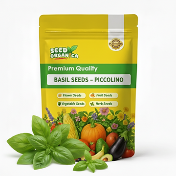 Basil Seeds – Piccolino
