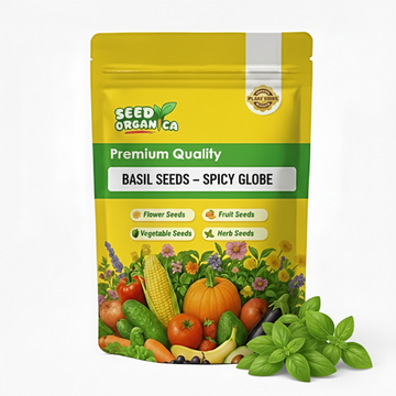 Basil Seeds – Spicy Globe