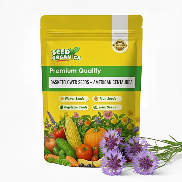 Basketflower Seeds – American Centaurea