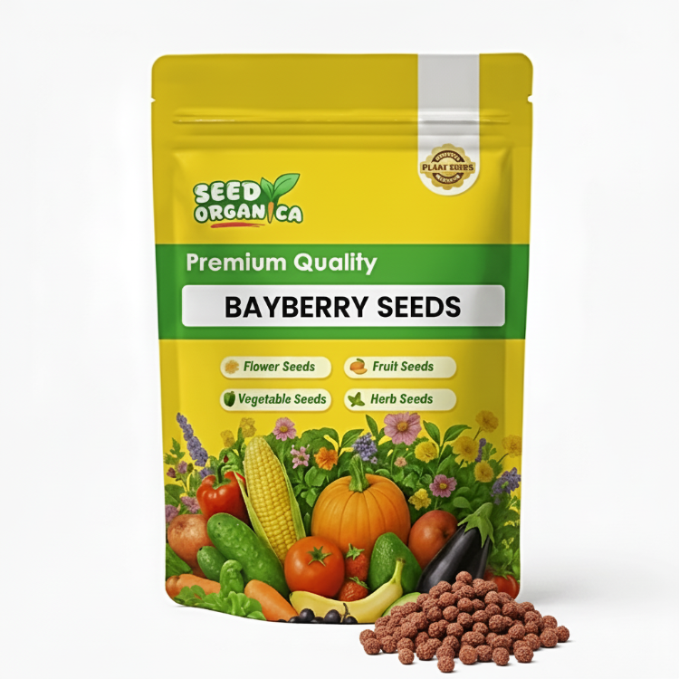 Bayberry Seeds