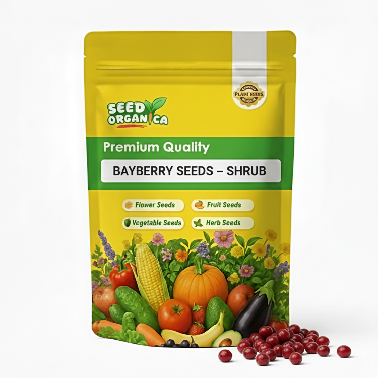 Bayberry Seeds – Shrub