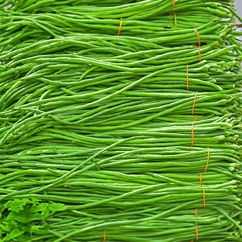 Bean Seeds - Yard Long