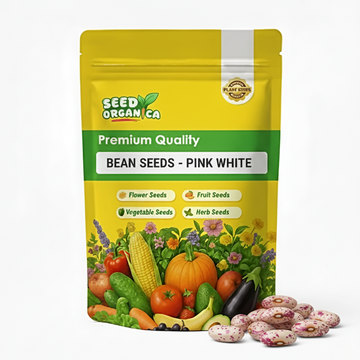 Bean Seeds  - Pink White
