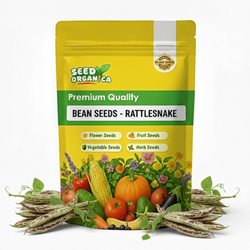 Bean Seeds - Rattlesnake