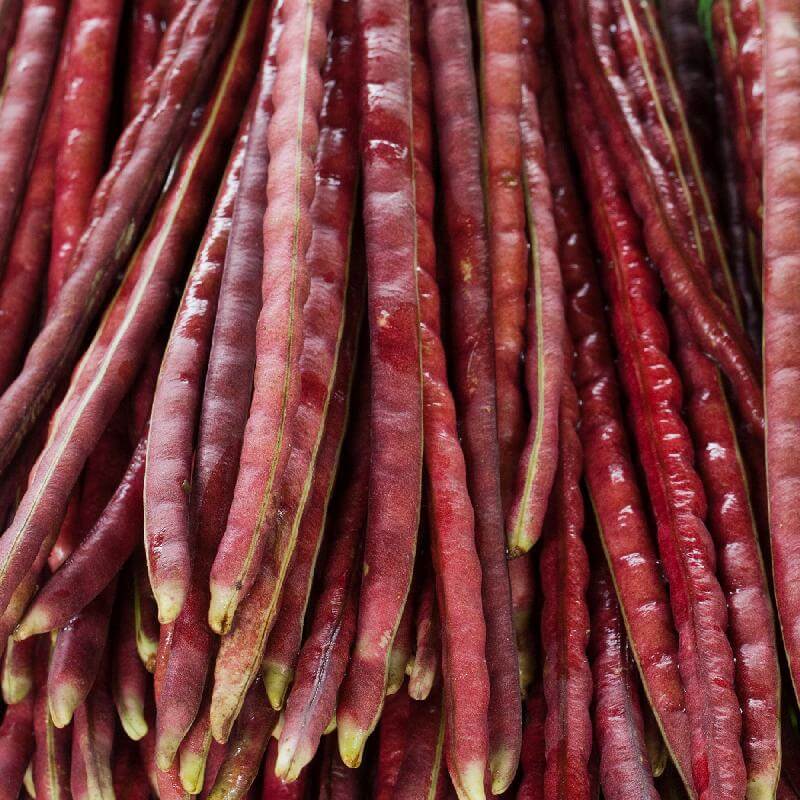 Bean Seeds  - Red Yardlong