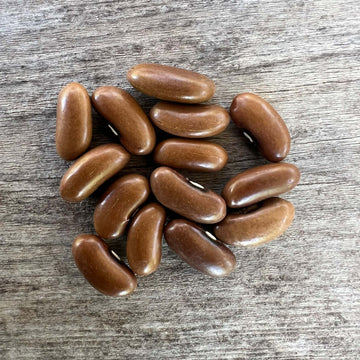  Bean Seeds - Stringless